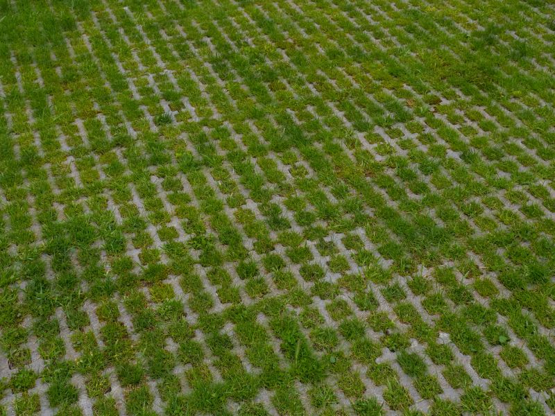 Pavement Art Installations